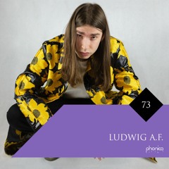 Phonica Mix Series 73: Ludwig A.F.