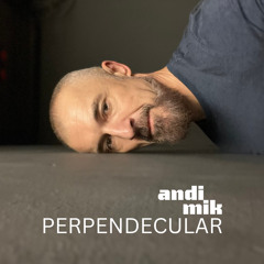 Perpendecular (Promo mixset, VA)