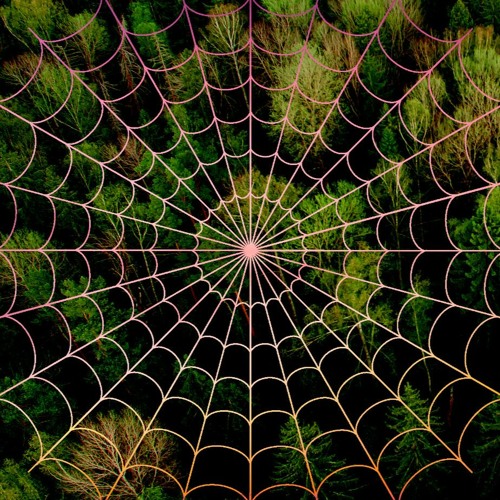 Spiderwebs (Land of the ZED #3) - Uziel | Stonerjazz | Tea Are Sea
