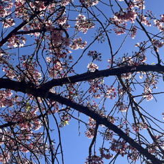 my_keys_are_in_her_heart