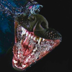 Were Fuckin' Cool, We'll Fuck You Up