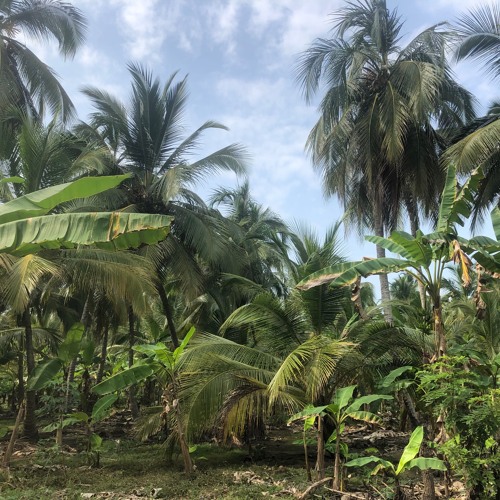 Guachaca, Santa Marta