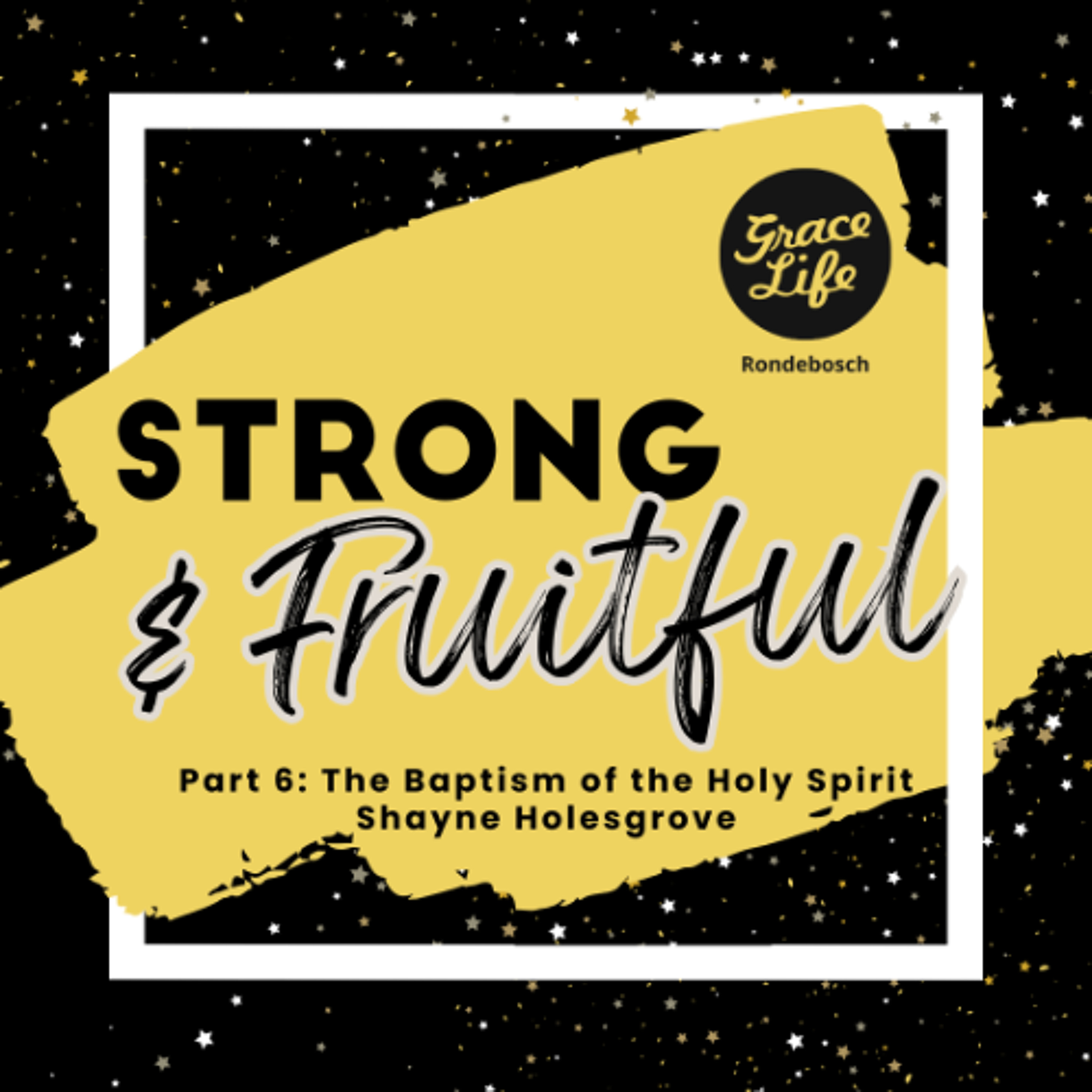 Strong & Fruitful - Part 6 - Baptism In The Holy Spirit - Shayne Holesgrove (Rondebosch)