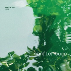 Can't Let You Go