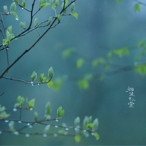 Hai Mươi Hai (Lofi Ver) - Amee x Hứa Kim Tuyền x Quanvrox