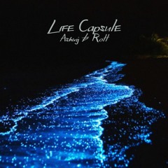 Life Capsule (feat. Rott)