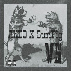 VS (feat. AKDO) - SunPig