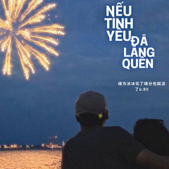 nếu tình yêu đã lãng quên 0.8x