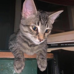 Geoffrey
