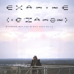 examine-mix-103-w-pax-2025-02-12