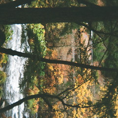 weightless (prod. Michael Harrison)