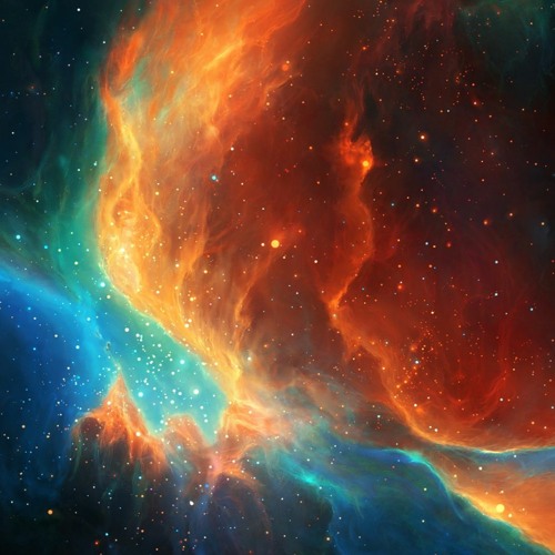 N O V E M B E R - 2 0 2 1