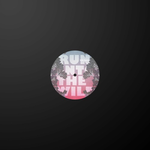 PREMIERE : Erik Sumo - Run Into The Wild (Disko Dub Version)