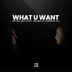 Michael Dayvison ft.  Brunna Dio - What You Want