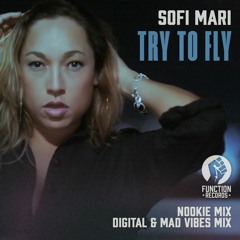 Sofi Mari Try To Fly (Nookie Mix)