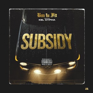 Subsidy