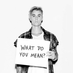 What Do You Mean