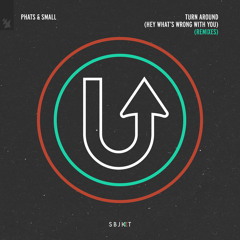 Phats & Small - Turn Around (Hey What's Wrong With You) (Robosonic Remix)