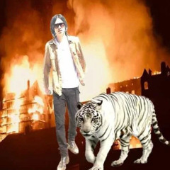 2hollis - autotune tears sacred river heaven tiger