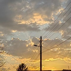 Paleta stilova siroka