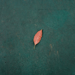 I'm on Fire - Live Recording