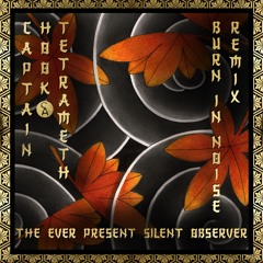 The Ever Present Silent Observer (Burn in Noise remix)