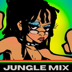 DJ Bean - jungle mix - presented by anne hero world