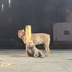 Outsiders: Invisible City w/ Charles Bridge & Omid. @ Kiosk Radio 09.11.2021