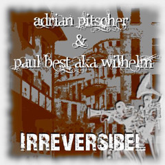 Pitscher & Wilhelm - Irreversibel