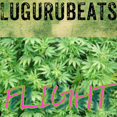 FLIGHT
