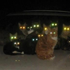 shooting (prod.d1emon)