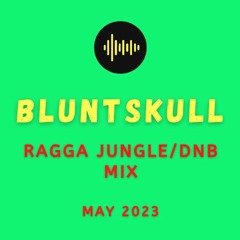 RAGGA JUNGLE DNB MIX (MAY 2023)