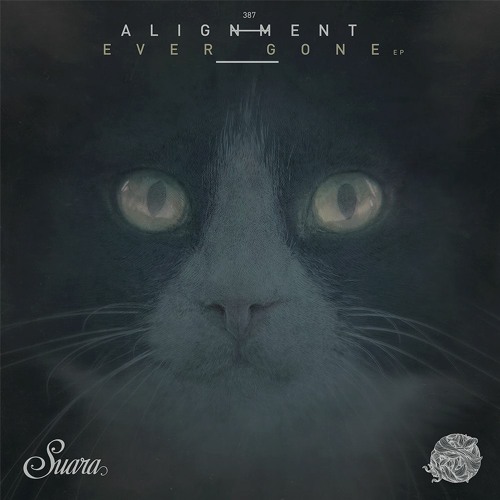 [SUARA387] Alignment - Vision (Original Mix) Snippet