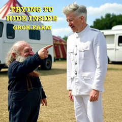 Trying to Hide Inside (Darling's Red Moon mix)