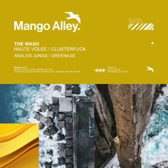 PREMIERE: The Wash - Clusterfuck (Greenage Remix) [Mango Alley]