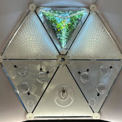 Your Home in Space with Sana Sharma