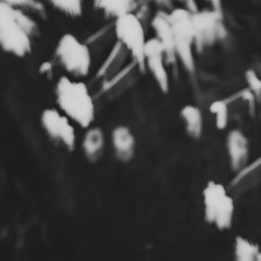 Trenchcast 63