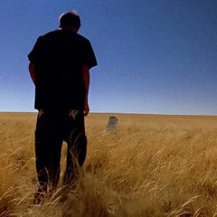 strangers (neverforever)