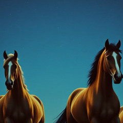The Night (Country)