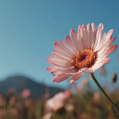 Good to See You Again (Part 2)