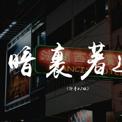 7嫂 - 暗里着迷 (抖音DJ版)【動態歌詞/pīn yīn gē cí】