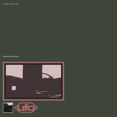 DKMNTL-UFO14 // Wata Igarashi - Kaleidoscopic