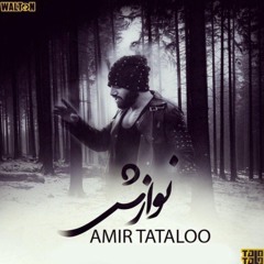 Amir-Tataloo-Navazesh