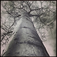 Septiembre [preproducción]