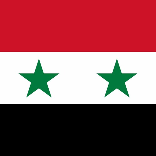Atelier Steam::MWA Syrian Arab Armed Forces (SAAF)
