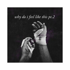 cr00k x lilsp00k - why do i feel like this pt. 2