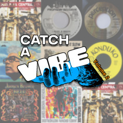 DJ Chops - Catch A Vibe Vol. 2