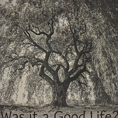 Was it a Good Life?