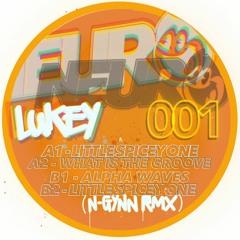 Lukey -  Little Spicey One(N - Gynn Remix)
