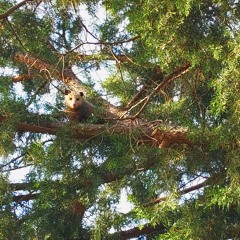 April 9th Pentatonic.m4a